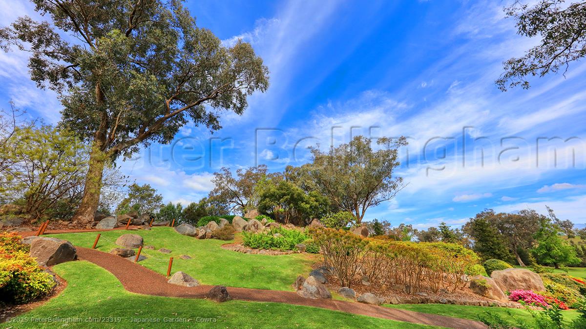 Peter Bellingham Photography Japanese Garden - Cowra